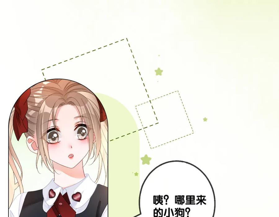 她又又又上热搜啦 第63话 猫狗双全 第7页