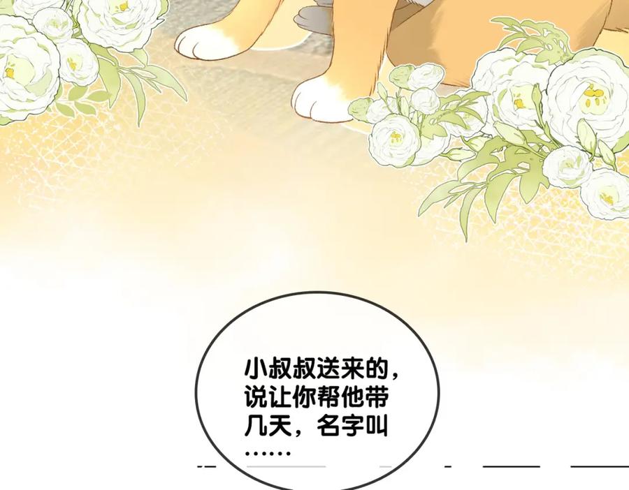 她又又又上热搜啦 第63话 猫狗双全 第10页