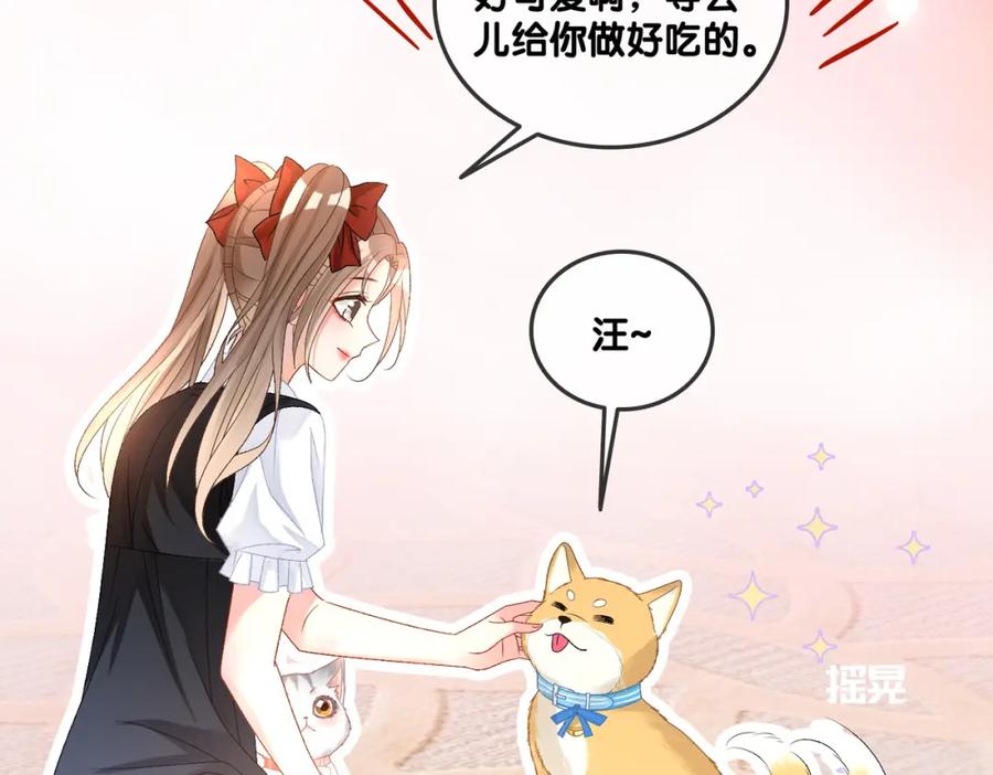 她又又又上热搜啦 第63话 猫狗双全 第15页
