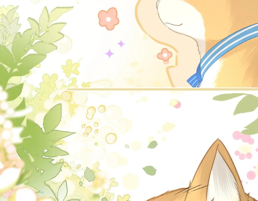 她又又又上热搜啦 第63话 猫狗双全 第18页