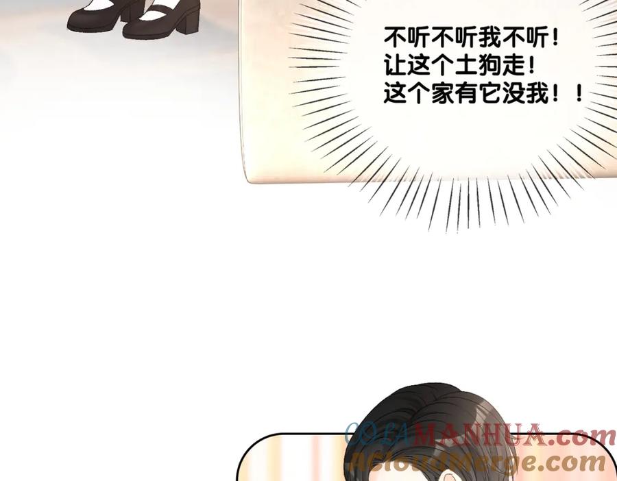 她又又又上热搜啦 第63话 猫狗双全 第29页