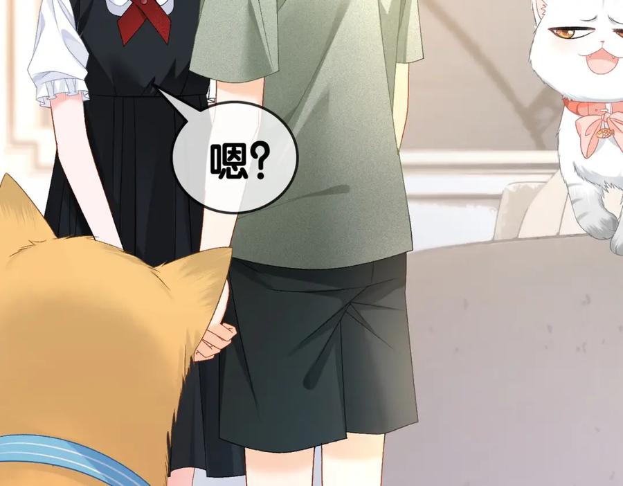 她又又又上热搜啦 第63话 猫狗双全 第38页