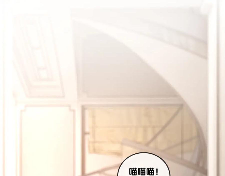 她又又又上热搜啦 第63话 猫狗双全 第27页
