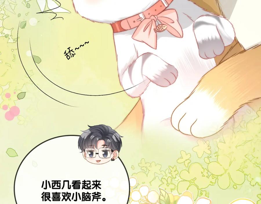 她又又又上热搜啦 第63话 猫狗双全 第20页