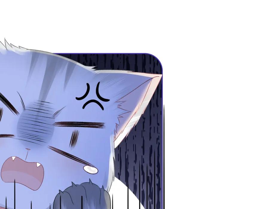 她又又又上热搜啦 第63话 猫狗双全 第23页