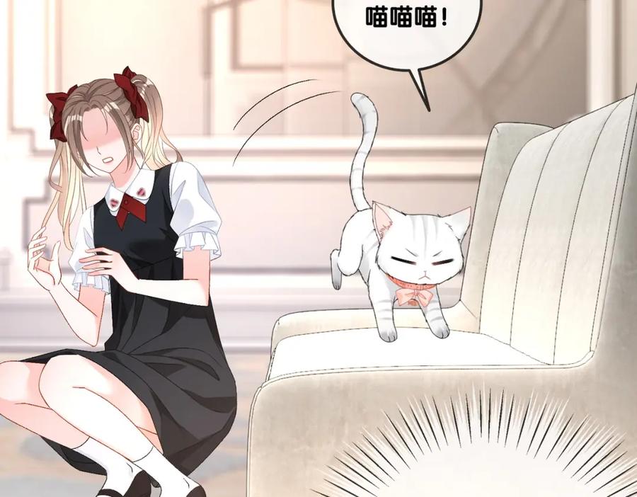 她又又又上热搜啦 第63话 猫狗双全 第28页