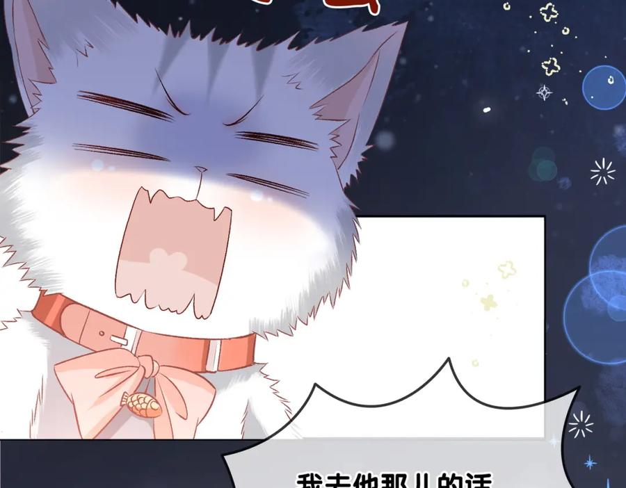她又又又上热搜啦 第63话 猫狗双全 第51页
