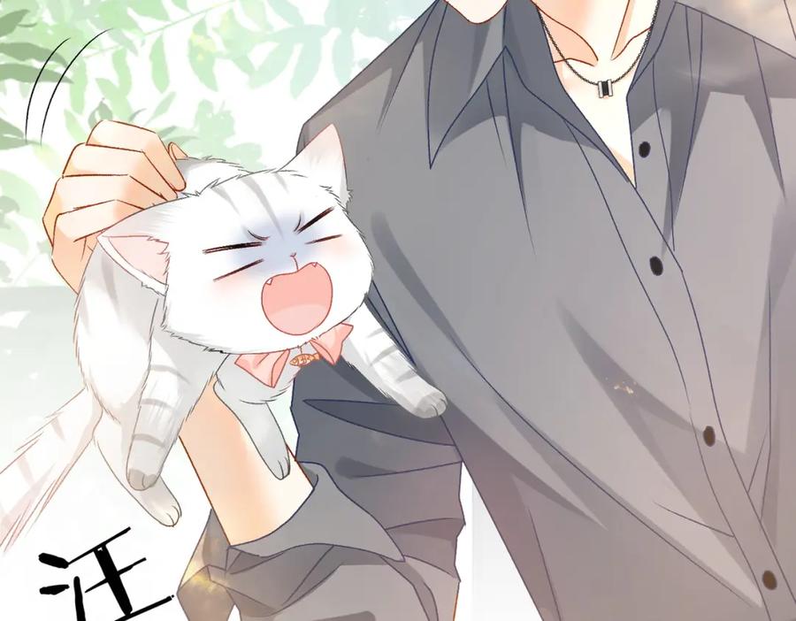 她又又又上热搜啦 第65话 吃醋的嘴硬兔兔 第54页