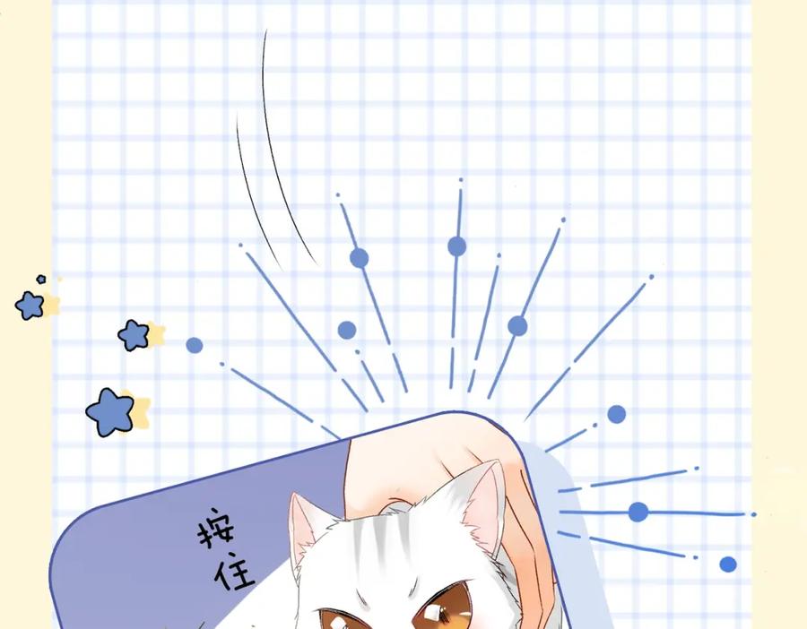 她又又又上热搜啦 第65话 吃醋的嘴硬兔兔 第51页