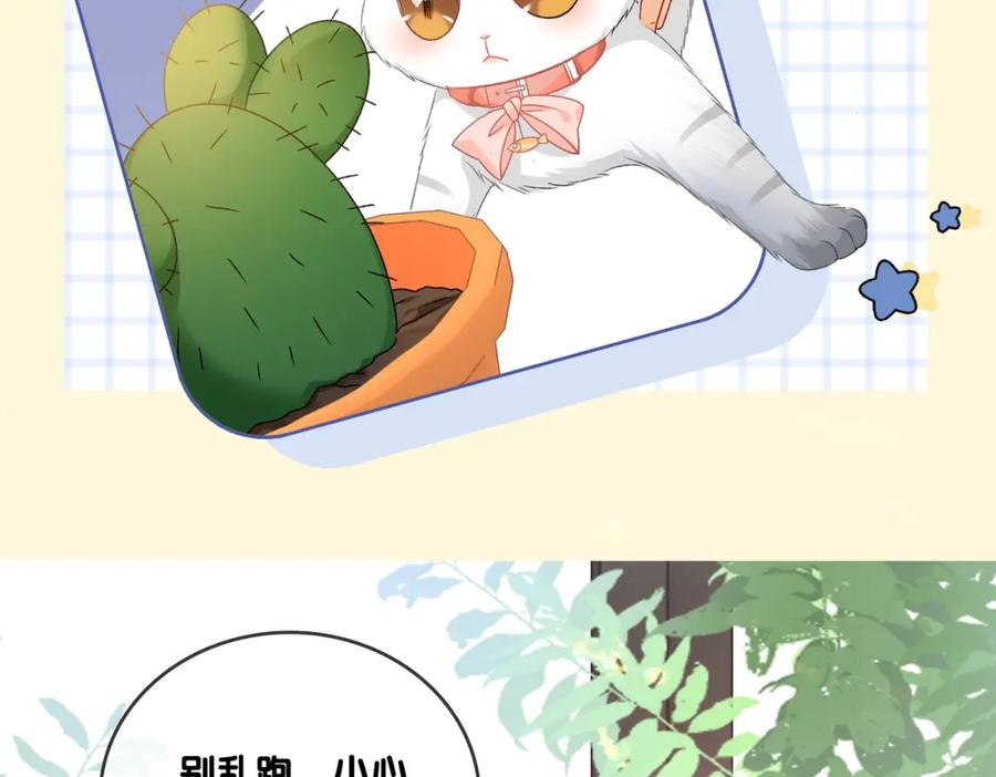 她又又又上热搜啦 第65话 吃醋的嘴硬兔兔 第52页