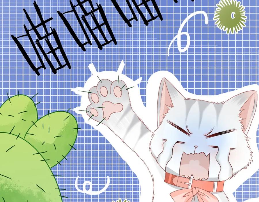 她又又又上热搜啦 第65话 吃醋的嘴硬兔兔 第63页
