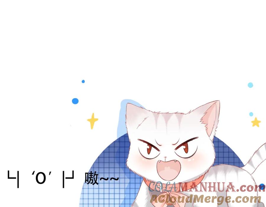 她又又又上热搜啦 第70话 全是套路 第81页