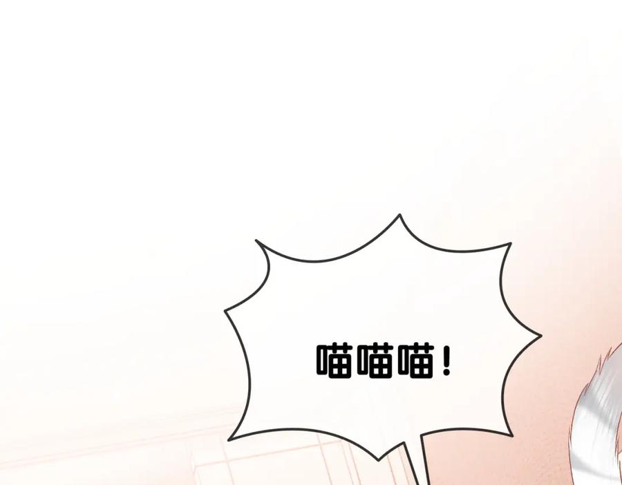 她又又又上热搜啦 第70话 全是套路 第83页