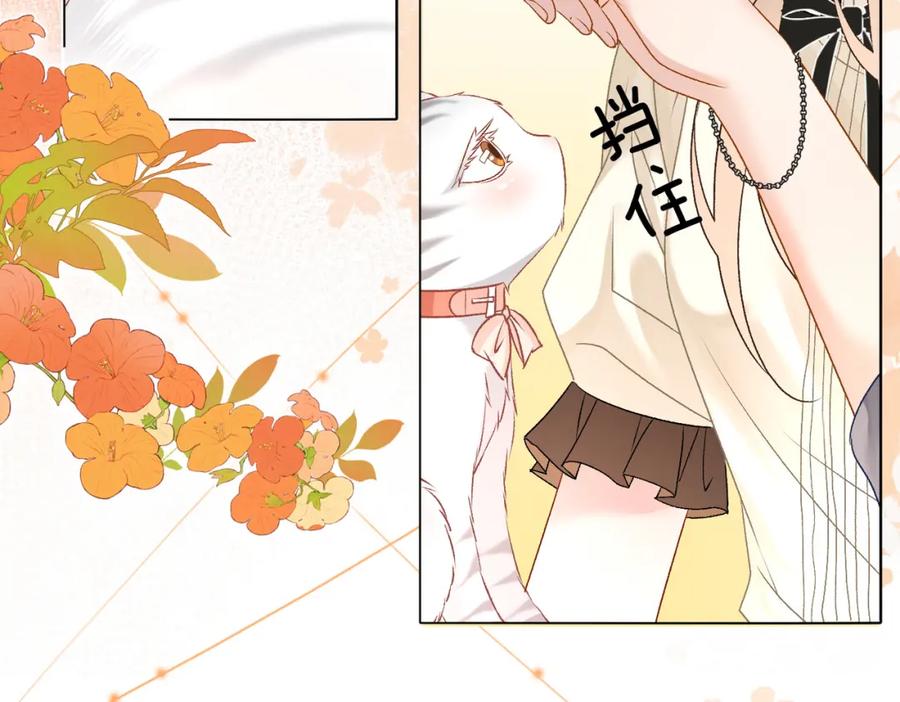 她又又又上热搜啦 第70话 全是套路 第12页