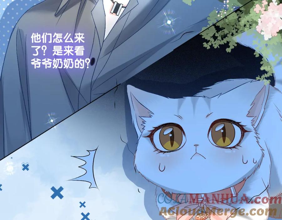 她又又又上热搜啦 第71话 醉酒兔兔梦游之旅 第25页