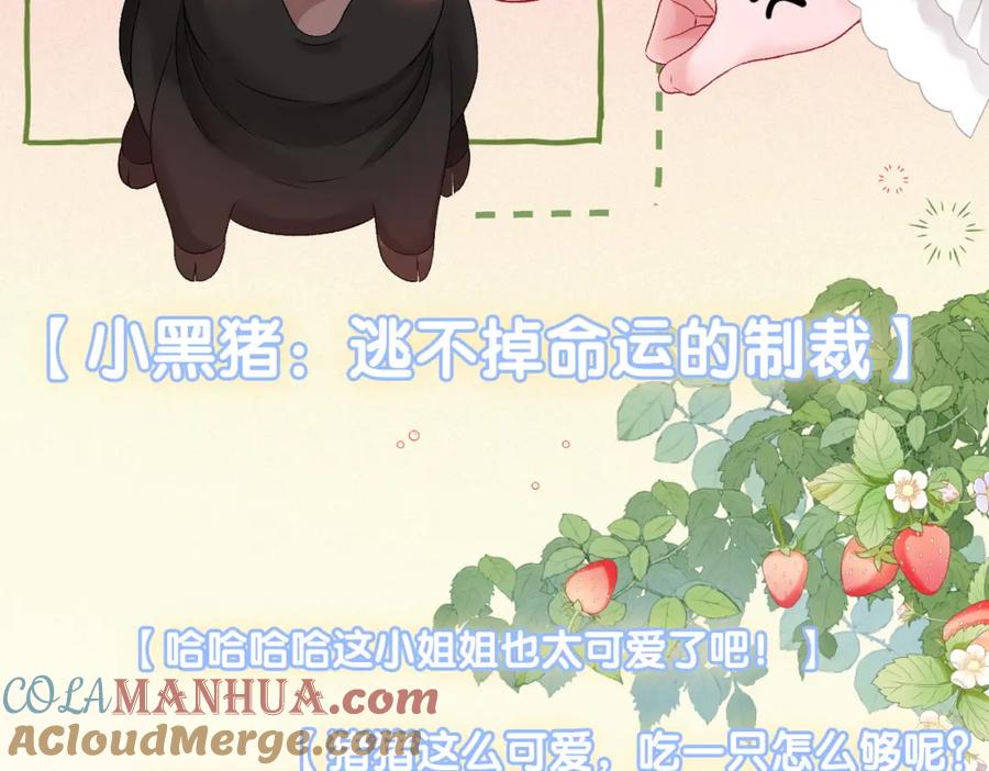 她又又又上热搜啦 第73话 兔兔的理想型 第65页