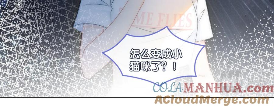 她又又又上热搜啦 第10话 实力护妻？ 第13页