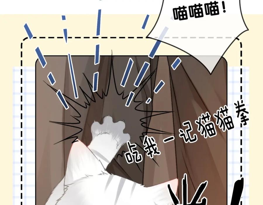 她又又又上热搜啦 第85话 我会保护你！ 第19页
