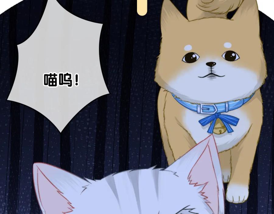 她又又又上热搜啦 第85话 我会保护你！ 第16页