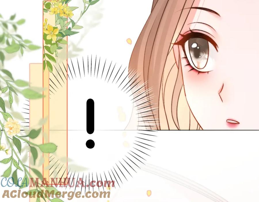 她又又又上热搜啦 第95话 兔兔生日会 第65页