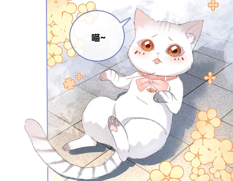 她又又又上热搜啦 第17话 再秀新技能~ 第123页