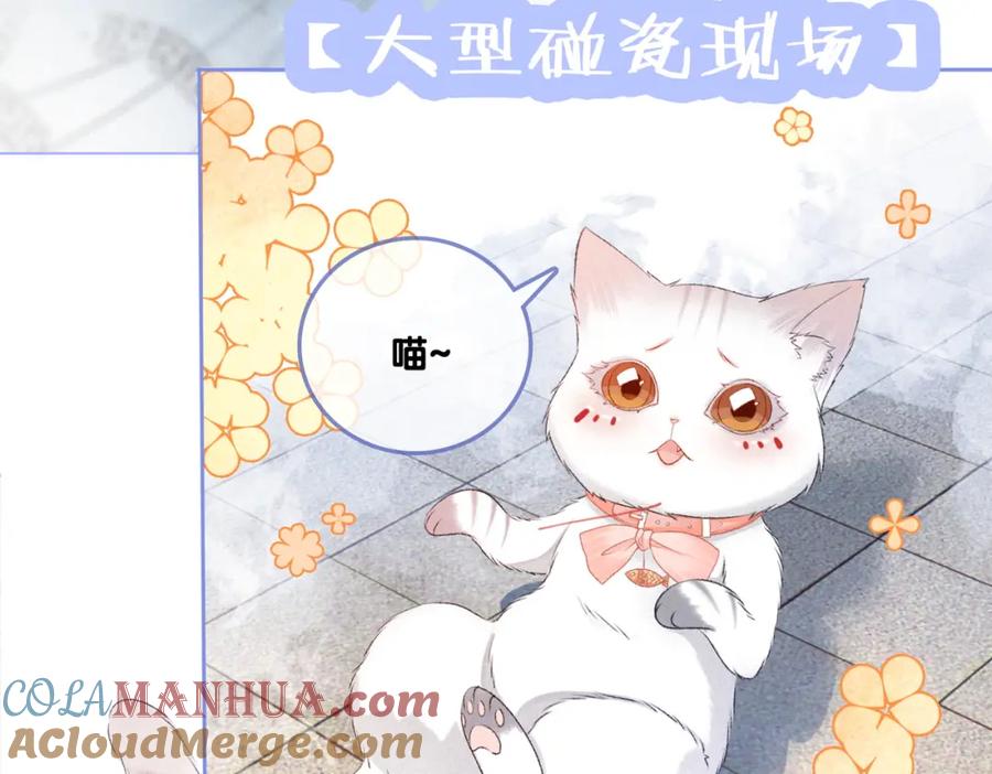 她又又又上热搜啦 第18话 “绿茶”对决 第113页