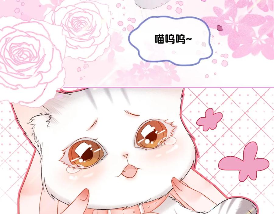 她又又又上热搜啦 第18话 “绿茶”对决 第118页