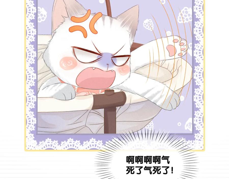 她又又又上热搜啦 第19话 神秘新嘉宾 第68页
