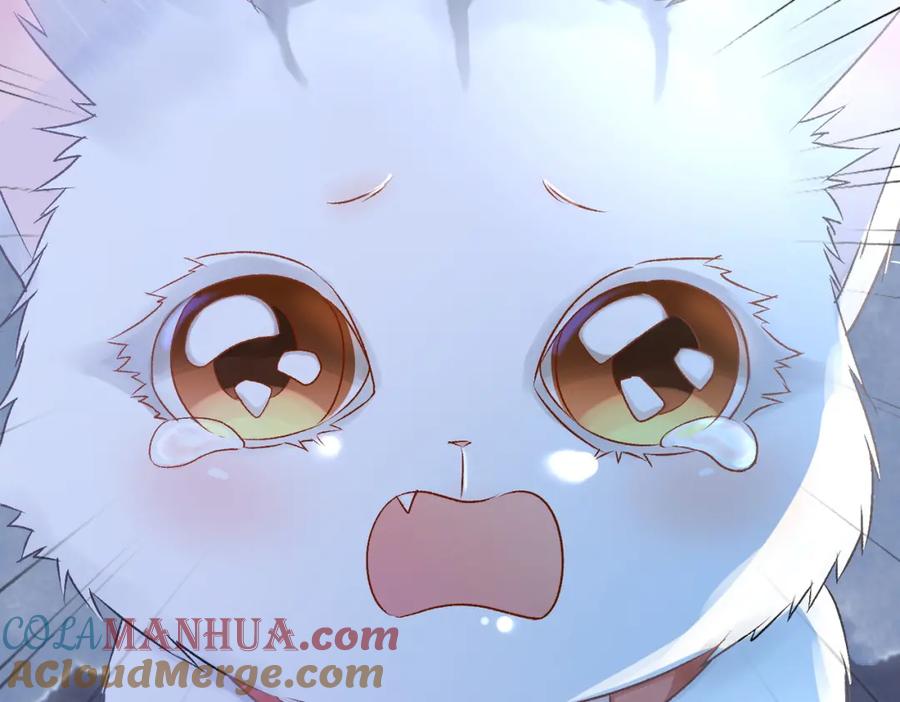 她又又又上热搜啦 第19话 神秘新嘉宾 第61页