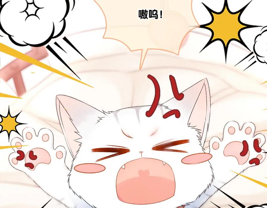 她又又又上热搜啦 第19话 神秘新嘉宾 第51页