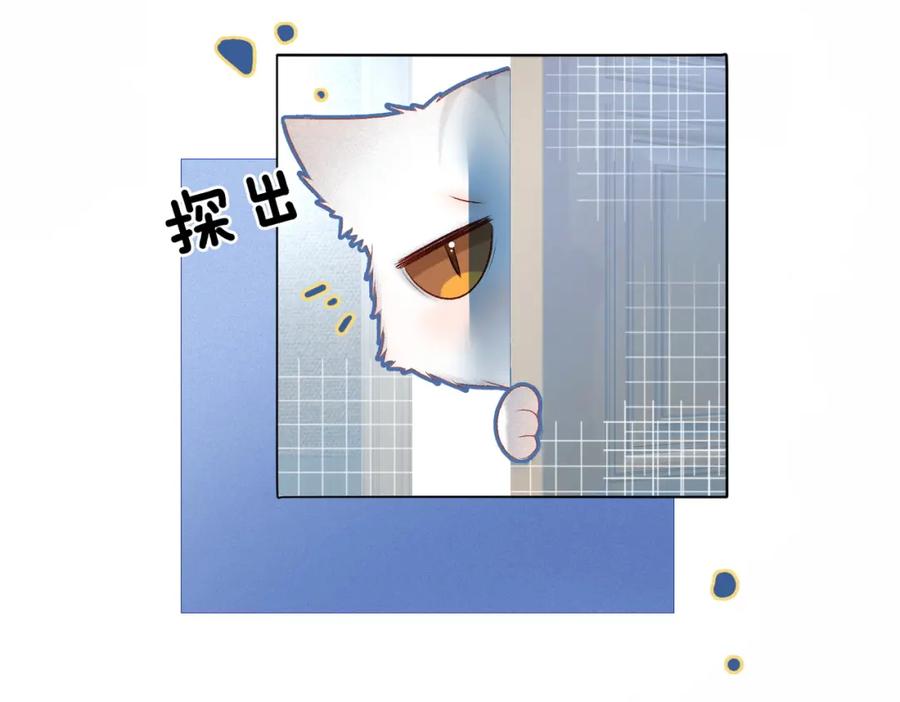 她又又又上热搜啦 第22话 新嘉宾到场~ 第19页