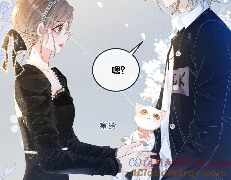 她又又又上热搜啦 第26话 兔兔撒娇？ 第37页
