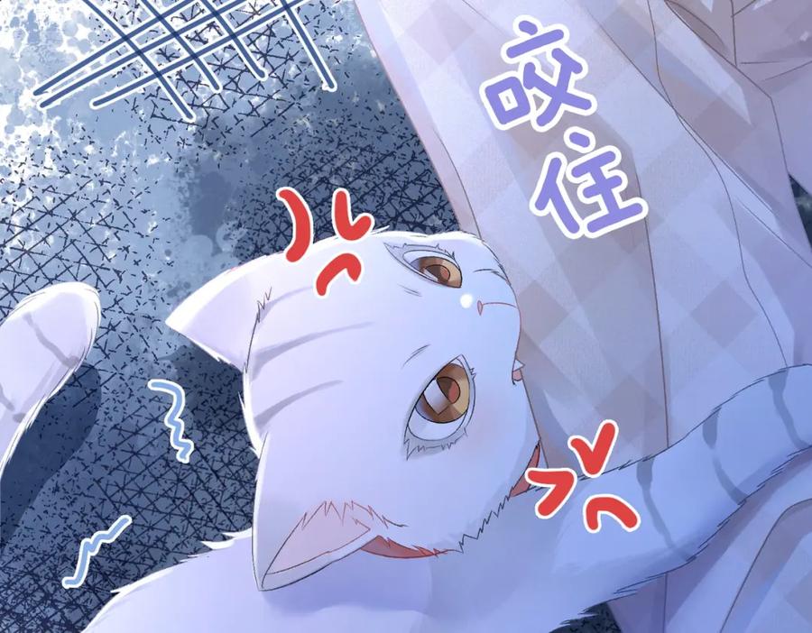 她又又又上热搜啦 第30话 再次打脸！ 第55页