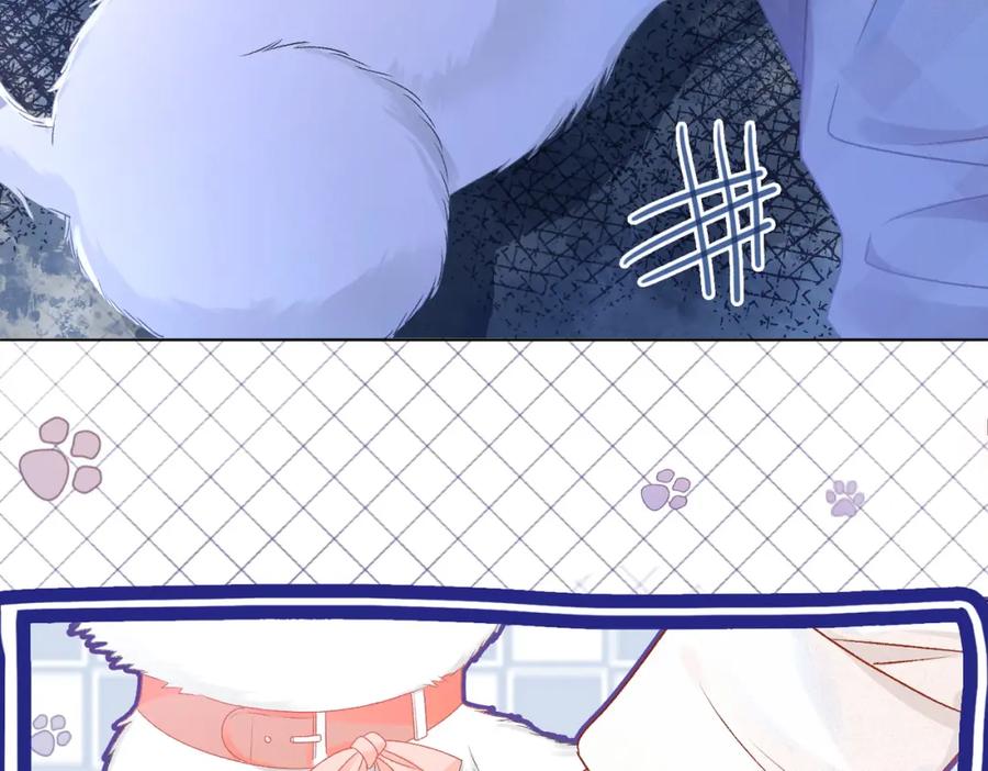 她又又又上热搜啦 第30话 再次打脸！ 第56页