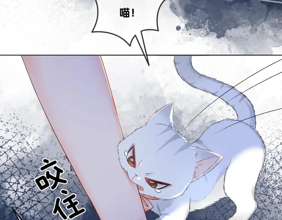 她又又又上热搜啦 第31话 小脑斧受伤了？ 第39页