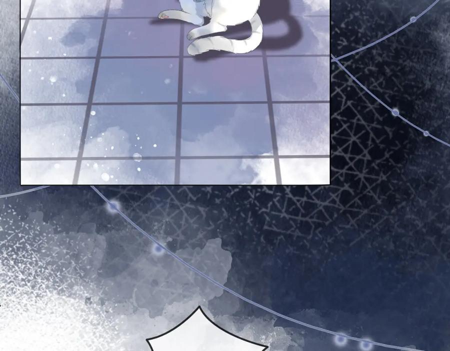 她又又又上热搜啦 第31话 小脑斧受伤了？ 第38页