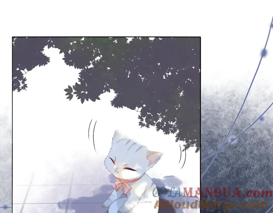 她又又又上热搜啦 第31话 小脑斧受伤了？ 第37页