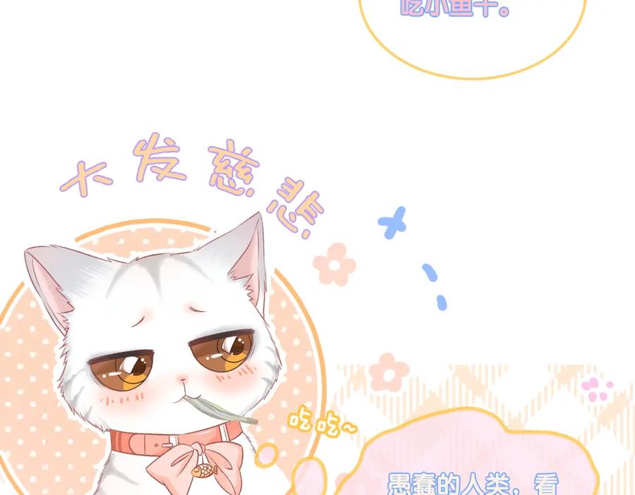 她又又又上热搜啦 第35话 哥哥的托付 第55页