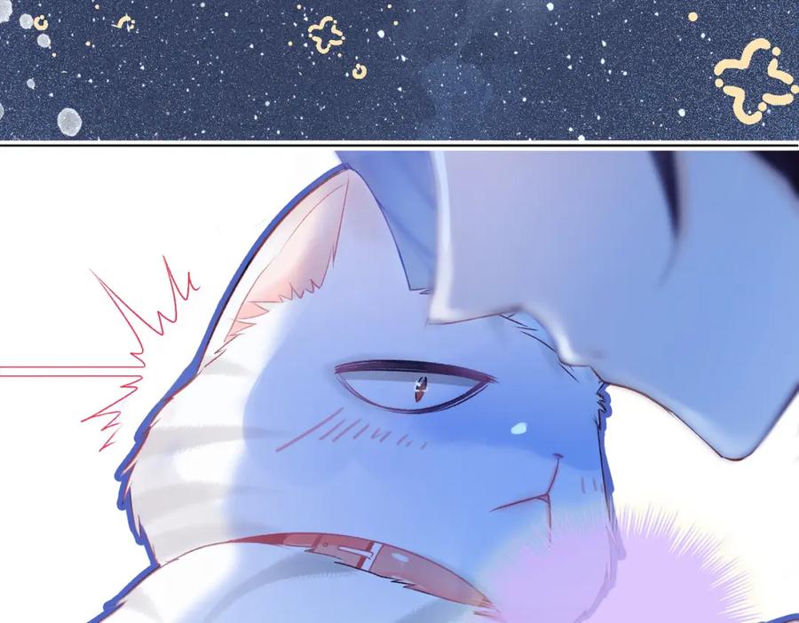 她又又又上热搜啦 第35话 哥哥的托付 第66页