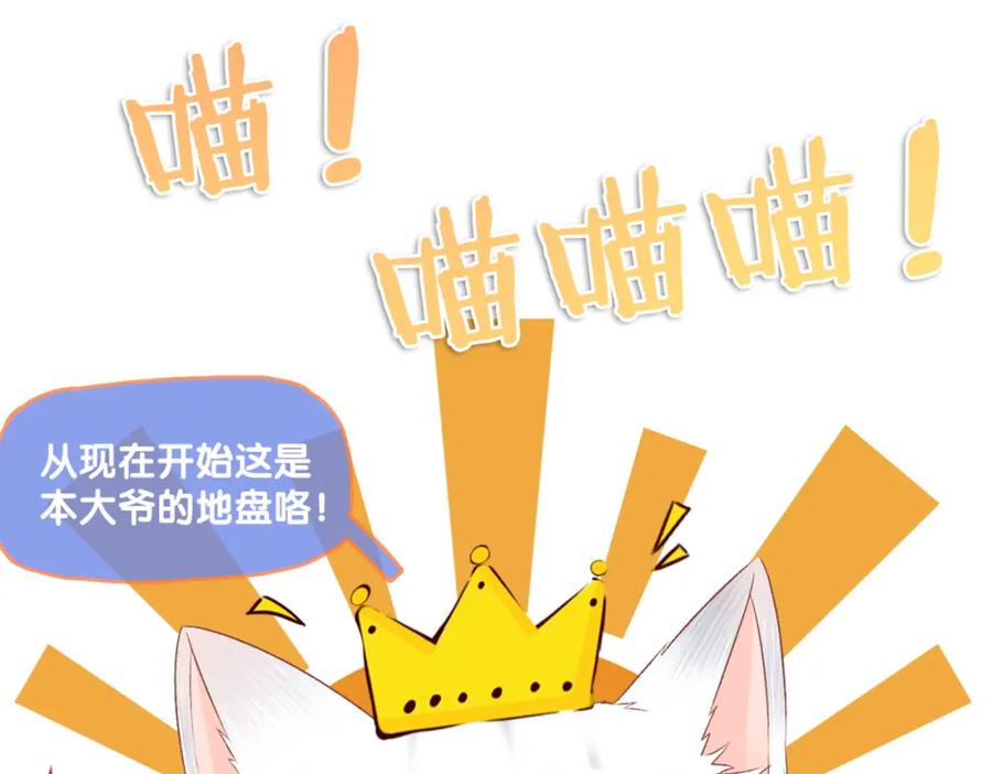 她又又又上热搜啦 第二季 第1话 更进一步 第123页