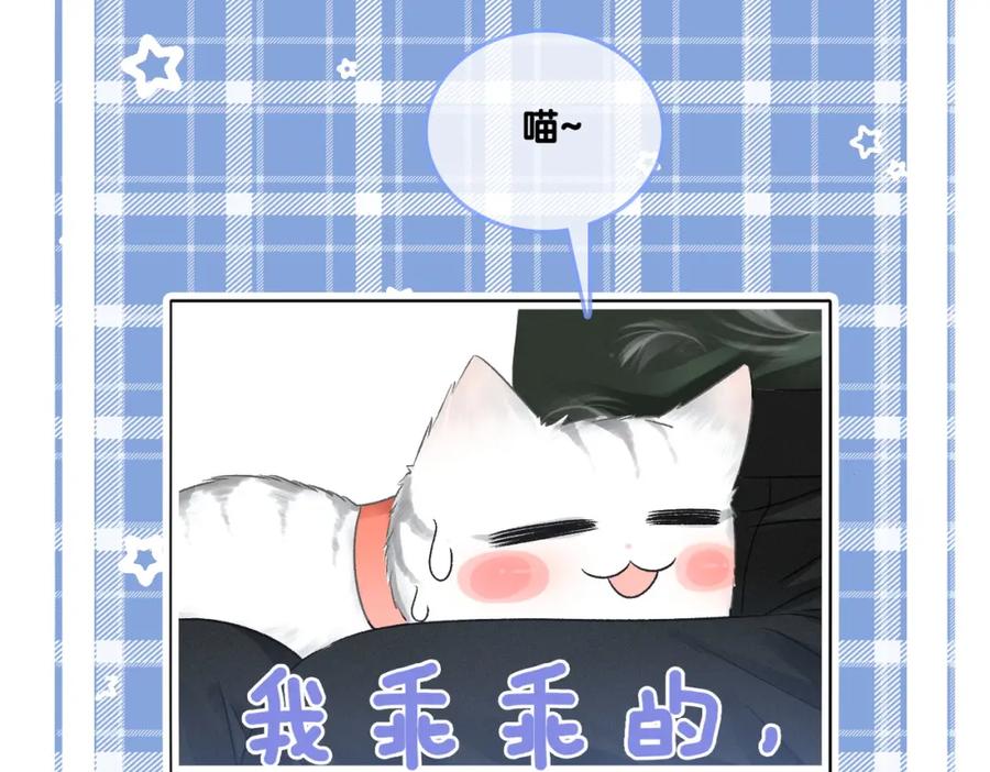 她又又又上热搜啦 第2话 真实心意？ 第86页