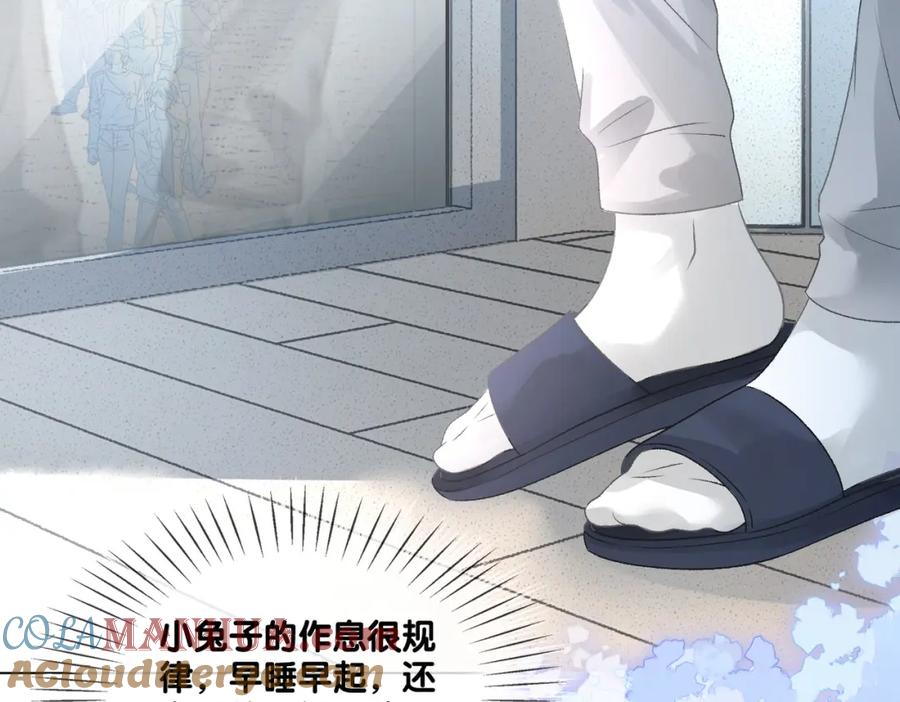 她又又又上热搜啦 第11话 兔兔生病了？！ 第5页