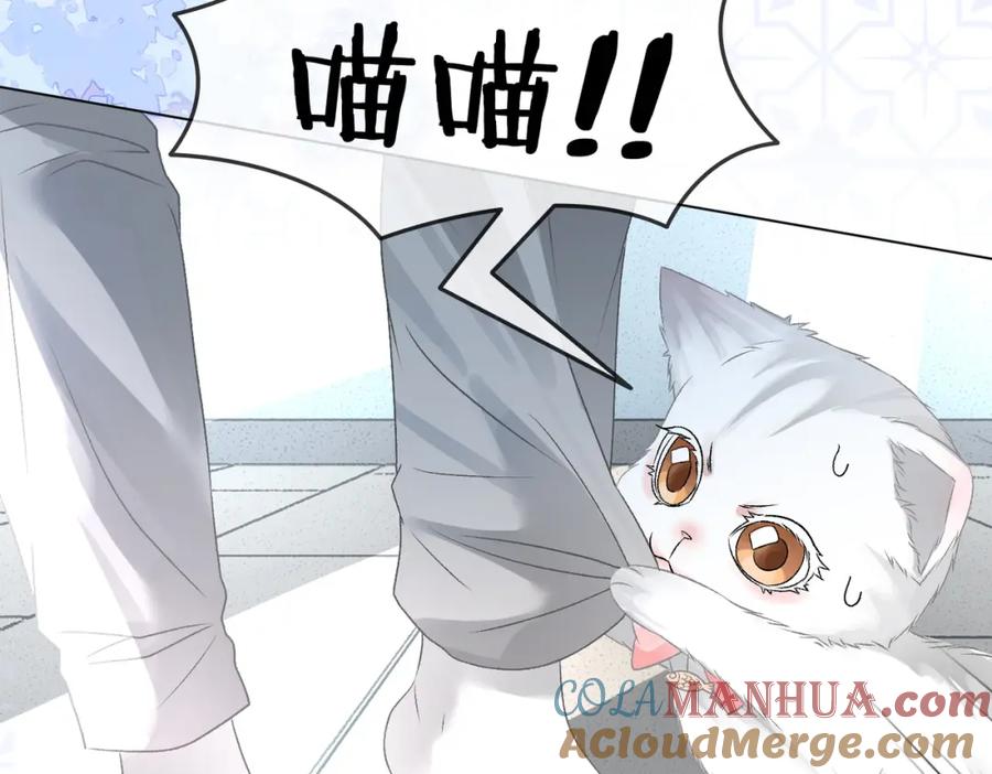 她又又又上热搜啦 第11话 兔兔生病了？！ 第9页