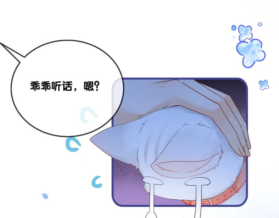 她又又又上热搜啦 第20话 腹黑影帝训猫记 第75页