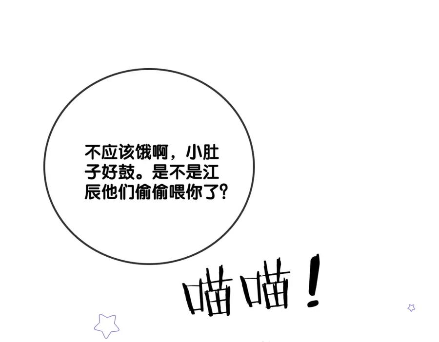 她又又又上热搜啦 第20话 腹黑影帝训猫记 第15页