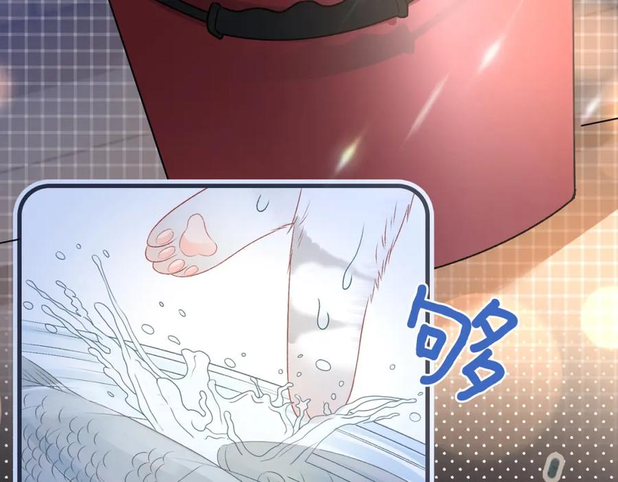 她又又又上热搜啦 第20话 腹黑影帝训猫记 第7页