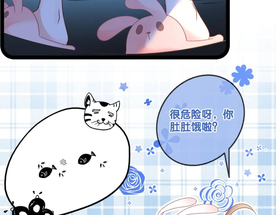 她又又又上热搜啦 第20话 腹黑影帝训猫记 第12页