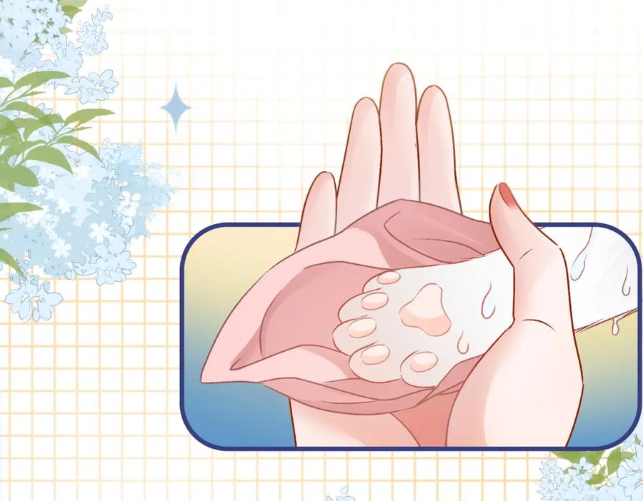 她又又又上热搜啦 第20话 腹黑影帝训猫记 第18页