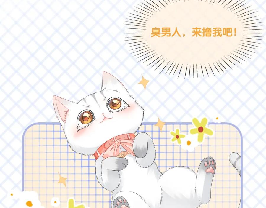 她又又又上热搜啦 第23话 吃猫猫的醋 第12页