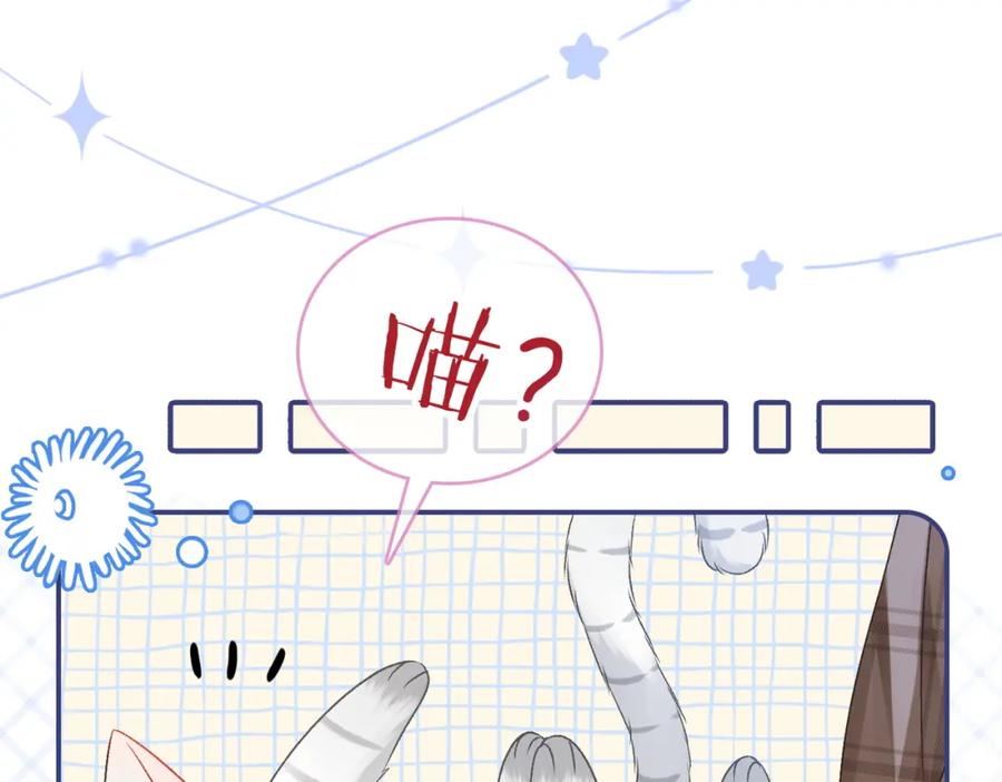 她又又又上热搜啦 第23话 吃猫猫的醋 第16页